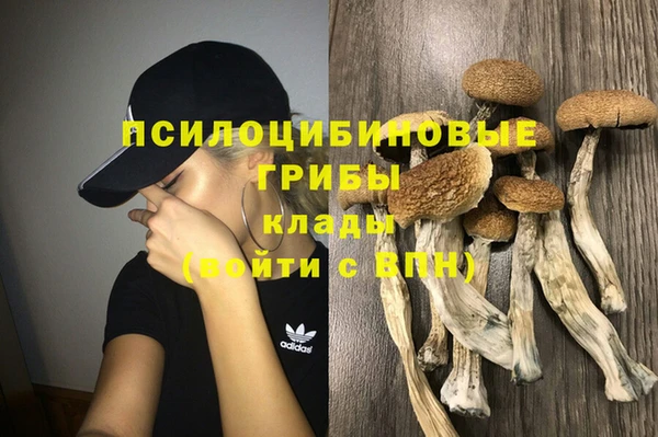 таблы Новодвинск