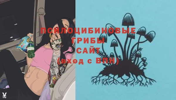 кокаин Новозыбков