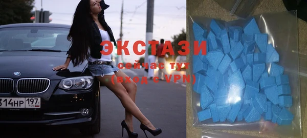 индика Новокубанск