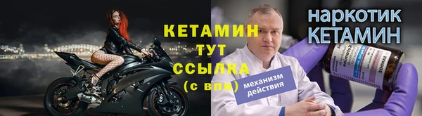 индика Новокубанск