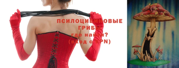 дмт Шали