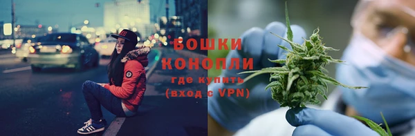 индика Новокубанск